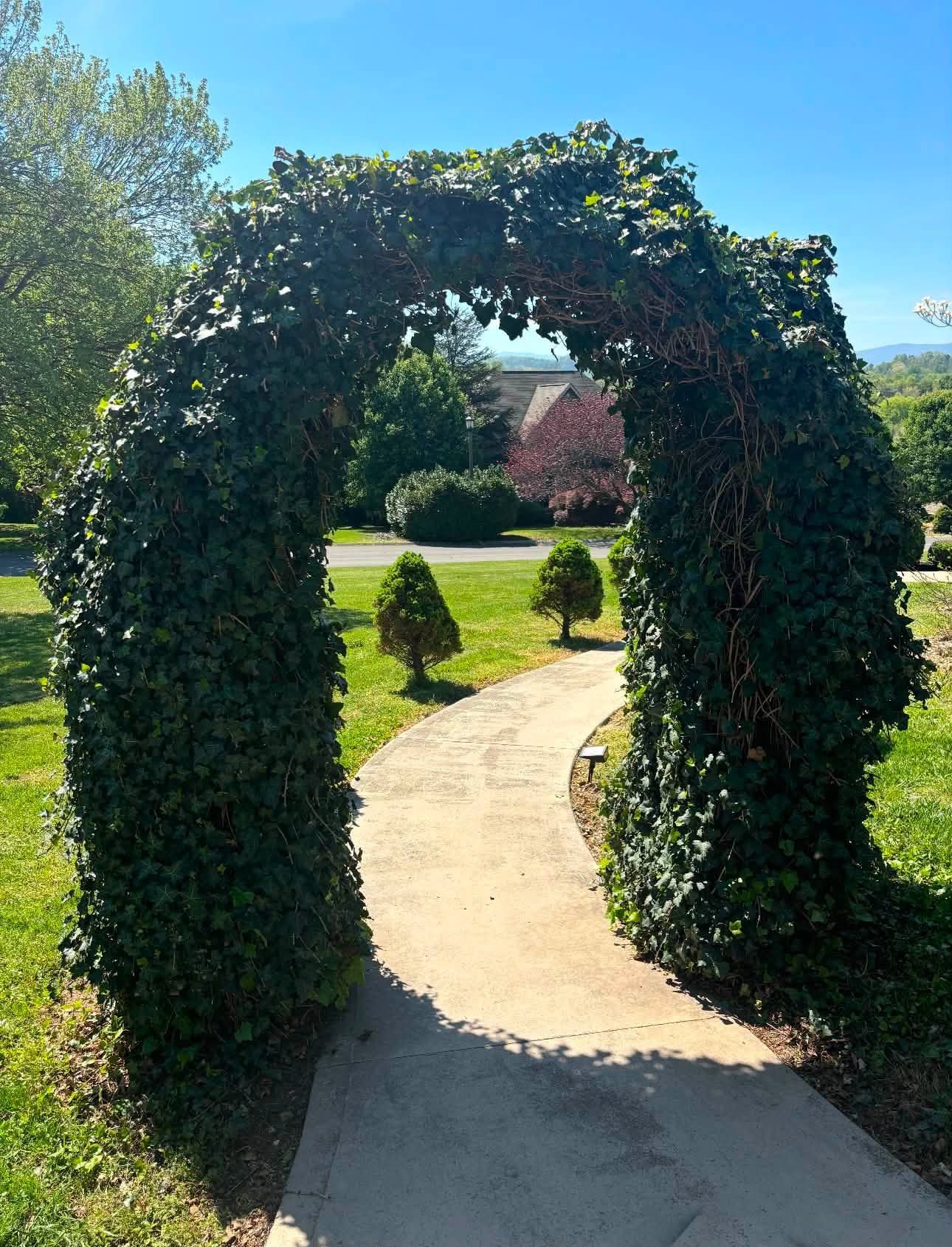 Ivy archway over a curved walkway in a Knoxville landscape